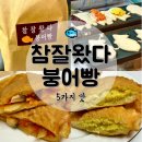 내돈내산 홍대 참잘왔다붕어빵