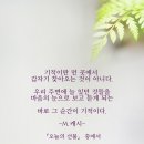 오늘의 선물 이미지