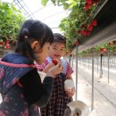 영주가흥초등학교 이미지