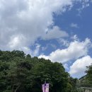 임산부도 편하게 다녀온 모노레일 힐링 여행, 포천 아트밸리 후기