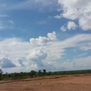 구름농장 이미지