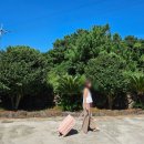 아놀드바시니 | 20인치 캐리어 아놀드바시니 기내용 확장형 후기