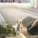 새재산버섯식당 이미지