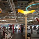 미지골프클럽 | 직접 다녀본 신수동헬스장, 미지휘트니스골프클럽의 다양한 운동 프로그램 후기