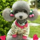 하늘나라식당 이미지