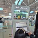 라인비지니스 | 인천공항 교통약자 패스트트랙, 아시아나항공 베시넷, 비지니스라인 탑승 후기