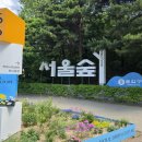 숲·정원·전시가 하나로! 서울숲 '국제정원박람회'에서 만난 '정원도시 서울' 이미지