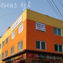 필라테스할로