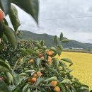 박곡리 경로당 이미지