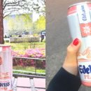 꿀떡꿀떡 이미지