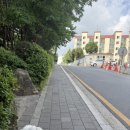 도당애견 이미지