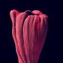 장수연_ 태동 이미지