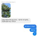 인성아 최선을 다해 행복하세요. 이미지