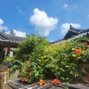 마곡사경내 이미지