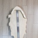 지인준 Daum카페