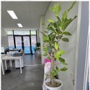 가연복지센터 이미지