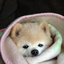 생활 중국어 이미지