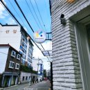 미미세탁전문점 | [은평구강아지간식] 24시 무인 신사동강아지용품 미미코코