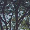 예안환경 | 대구 동성로사주 내돈내산 해결한 후기