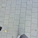 제일우산부성주단 | 야구 이야기 _ 1편