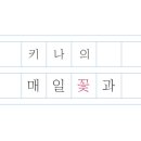 매일 꽃 이미지