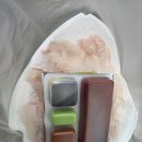 행정용 4 | 군산수산물 종합센터 방문기｜신선한 광어회를 직접 맛보다