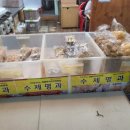 수원수제명과