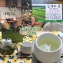 3740 | [하동]여행가서 우전 녹차 충동구매한 내돈내산 솔직후기|하동녹차는 뭐가 다를까?