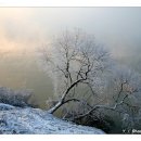 강가의아침 이미지