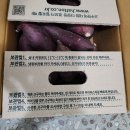 거산기업 | 해뜨온 노랑밤고구마 구매후기/ 고구마 실온 냉동 보관방법 꿀팁