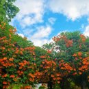 충북도립대학교 이미지