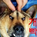 인생한방 이미지