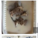 GS25 부산본점 네이버블로그