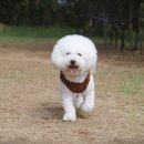 미르빈카페