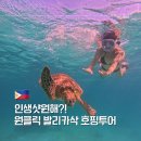 보홀 발리카삭 호핑투어 후기, 원클릭 단독투어 거북이랑 인생샷 성공!