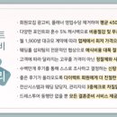 셀레네헤어 이미지