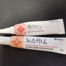 여름약국 | 여름철 올라오는 여드름! 약국 연고 직접 사용해본 후기(애크논,노스카나)