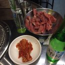 미스터갈매기
