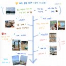 제주돌집탱자싸롱 | 제주 동쪽 여행 일정 3일차 ㅣ 혼여 기록 ㅣ 여름 제주 5박6일