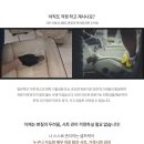 발란스9 이미지