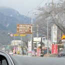 1호분식