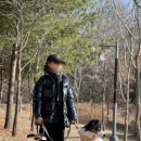 셰르파 | 대형견 강아지 겨울 산책 옷 추천 분독 셰르파 방수 패딩 후기