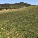 송림농장 이미지