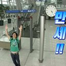 최강드림태권도 | 미국 3~4주차.