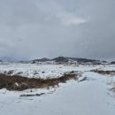 지도읍보건지소 이미지