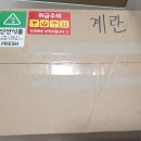 네이처킹덤 이미지
