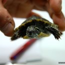 태전동물병원 이미지