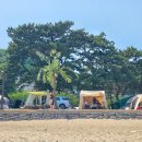 관성솔밭해변 이미지