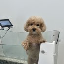 멍쓰홀릭 이미지