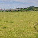 용수교 둔치 축구장 이미지